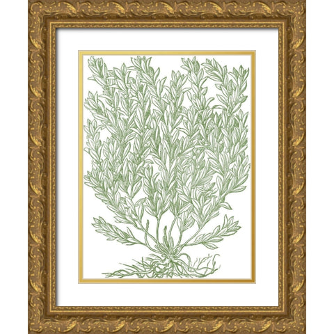 Mossy Branches II Gold Ornate Wood Framed Art Print with Double Matting by du Monceau, Duhamel