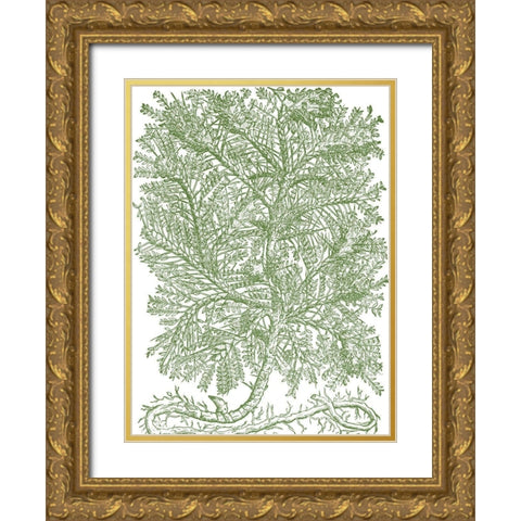 Mossy Branches IV Gold Ornate Wood Framed Art Print with Double Matting by du Monceau, Duhamel