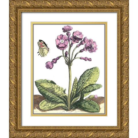 Garden Vignette I Gold Ornate Wood Framed Art Print with Double Matting by De Bry, Johann