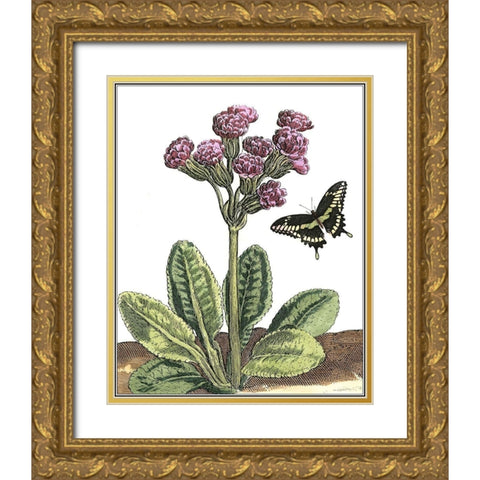 Garden Vignette II Gold Ornate Wood Framed Art Print with Double Matting by De Bry, Johann