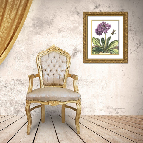 Garden Vignette III Gold Ornate Wood Framed Art Print with Double Matting by De Bry, Johann