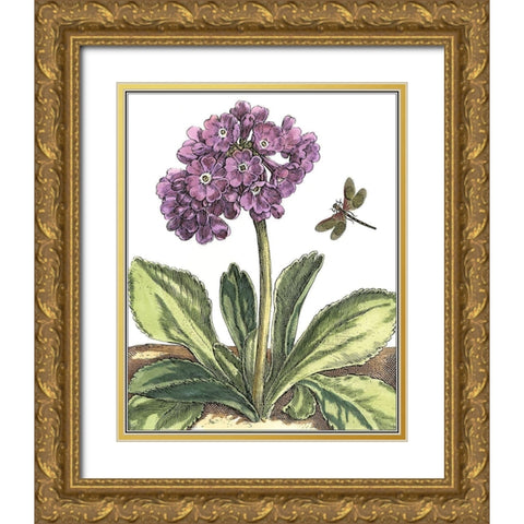 Garden Vignette III Gold Ornate Wood Framed Art Print with Double Matting by De Bry, Johann