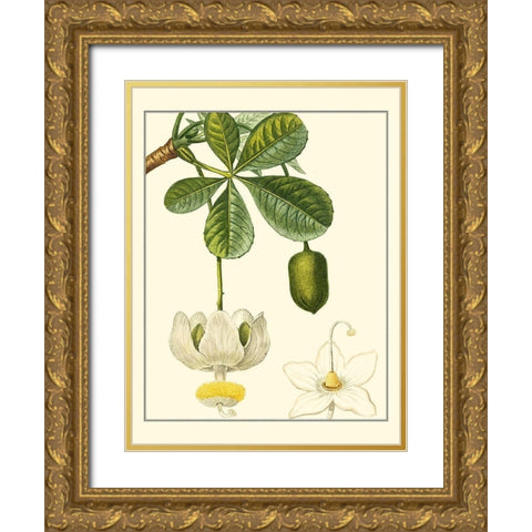 Turpin Tropicals II Gold Ornate Wood Framed Art Print with Double Matting by Turpin