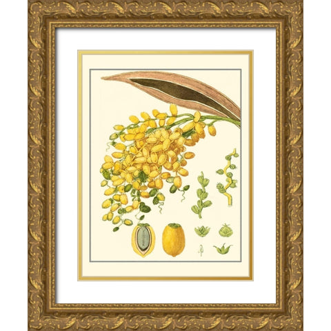 Turpin Tropicals VIII Gold Ornate Wood Framed Art Print with Double Matting by Turpin