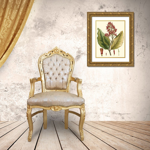 Crimson Botanical II Gold Ornate Wood Framed Art Print with Double Matting by Hierseman