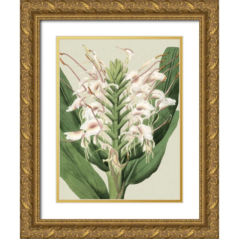 Small Orchid Blooms IV Gold Ornate Wood Framed Art Print with Double Matting by Vision Studio