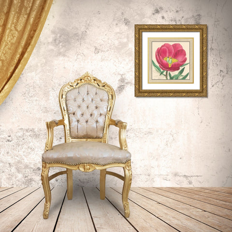 Small Peony Collection I Gold Ornate Wood Framed Art Print with Double Matting by Vision Studio