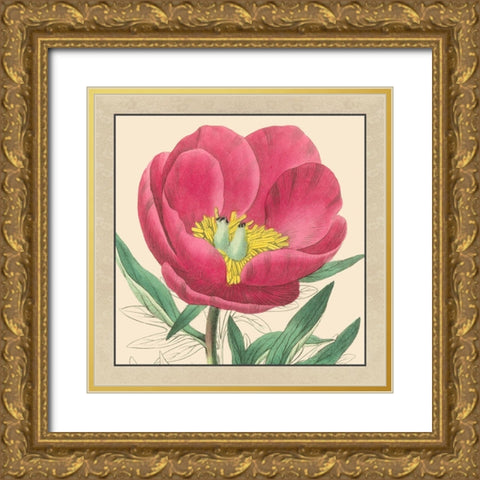 Small Peony Collection I Gold Ornate Wood Framed Art Print with Double Matting by Vision Studio