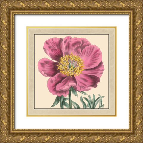 Small Peony Collection III Gold Ornate Wood Framed Art Print with Double Matting by Vision Studio