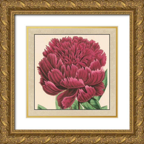 Small Peony Collection V Gold Ornate Wood Framed Art Print with Double Matting by Vision Studio
