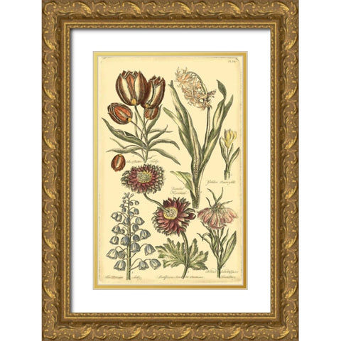 Floral Bounty II Gold Ornate Wood Framed Art Print with Double Matting by Vision Studio