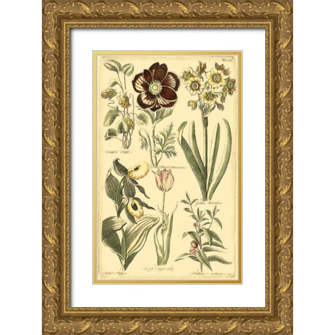 Floral Bounty III Gold Ornate Wood Framed Art Print with Double Matting by Vision Studio