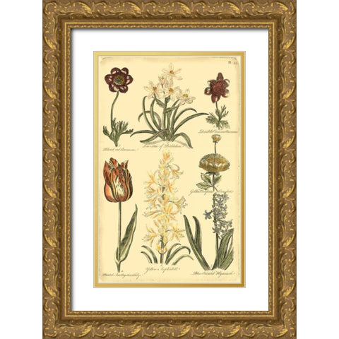 Floral Bounty IV Gold Ornate Wood Framed Art Print with Double Matting by Vision Studio