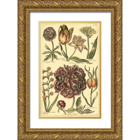 Floral Bounty V Gold Ornate Wood Framed Art Print with Double Matting by Vision Studio