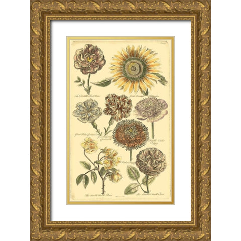 Floral Bounty VI Gold Ornate Wood Framed Art Print with Double Matting by Vision Studio