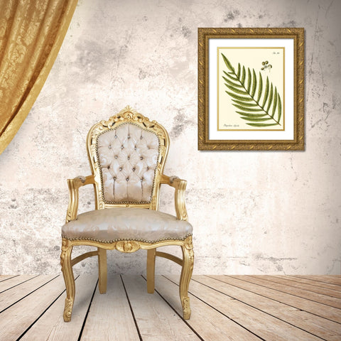 Small Antique Fern I Gold Ornate Wood Framed Art Print with Double Matting by Vision Studio