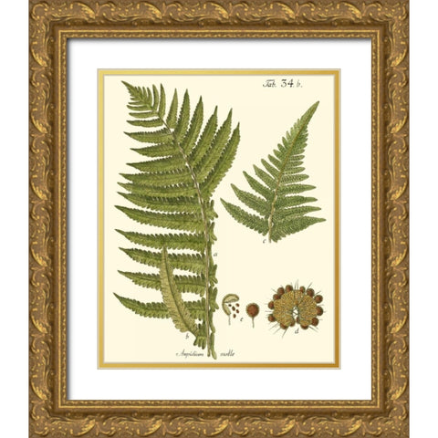 Small Antique Fern III Gold Ornate Wood Framed Art Print with Double Matting by Vision Studio