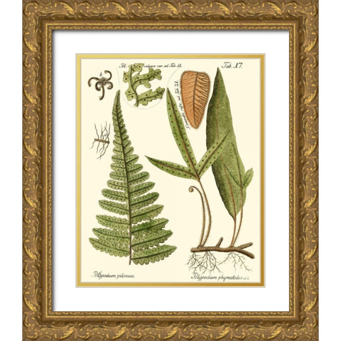 Small Antique Fern IV Gold Ornate Wood Framed Art Print with Double Matting by Vision Studio