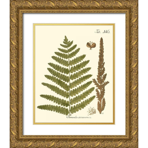 Small Antique Fern VI Gold Ornate Wood Framed Art Print with Double Matting by Vision Studio