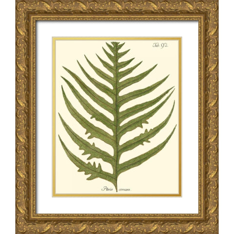Small Antique Fern VIII Gold Ornate Wood Framed Art Print with Double Matting by Vision Studio