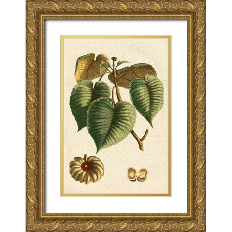 Small Seasonal Foliage I Gold Ornate Wood Framed Art Print with Double Matting by Vision Studio