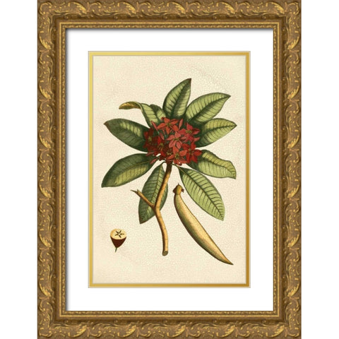 Small Seasonal Foliage III Gold Ornate Wood Framed Art Print with Double Matting by Vision Studio