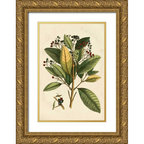 Small Seasonal Foliage IV Gold Ornate Wood Framed Art Print with Double Matting by Vision Studio