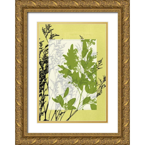 Small Translucent Wildflowers IV Gold Ornate Wood Framed Art Print with Double Matting by Goldberger, Jennifer