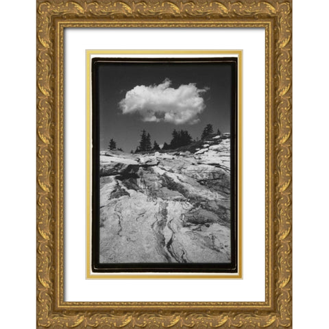 Cloud Dream Gold Ornate Wood Framed Art Print with Double Matting by DeNardo, Laura