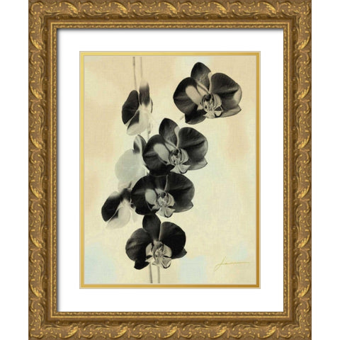 Orchid Blush Panels III Gold Ornate Wood Framed Art Print with Double Matting by Burghardt, James