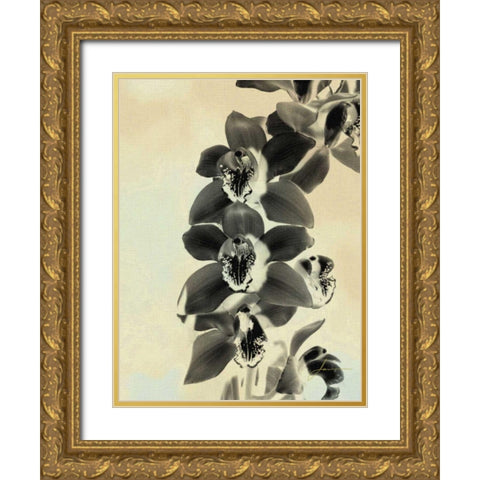 Orchid Blush Panels IV Gold Ornate Wood Framed Art Print with Double Matting by Burghardt, James