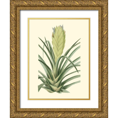 Tropical Fancy II Gold Ornate Wood Framed Art Print with Double Matting by Edmonston-Douglas