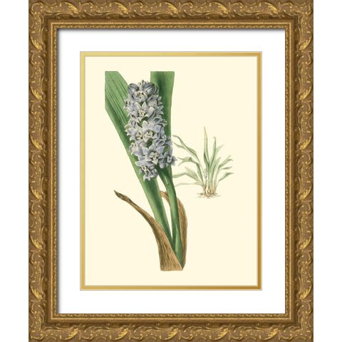 Tropical Fancy III Gold Ornate Wood Framed Art Print with Double Matting by Edmonston-Douglas