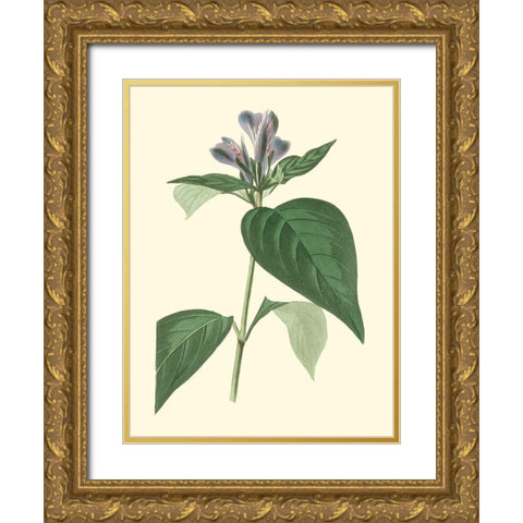 Tropical Fancy VI Gold Ornate Wood Framed Art Print with Double Matting by Edmonston-Douglas