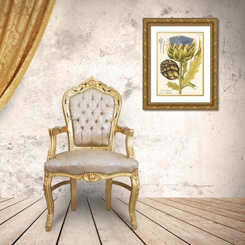 Artichoke, Pl. 462 Gold Ornate Wood Framed Art Print with Double Matting by Unknown