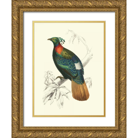 Birds of Costa Rica II Gold Ornate Wood Framed Art Print with Double Matting by DOrbigny, M.Charles