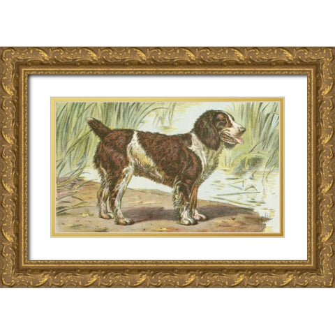 Mans Best Friend IV Gold Ornate Wood Framed Art Print with Double Matting by Unknown