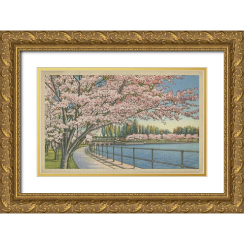 Cherry Blossoms, Potomac Park Gold Ornate Wood Framed Art Print with Double Matting by Unknown