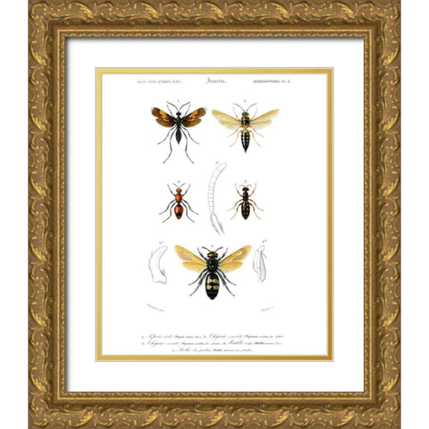 Antique Bees I Gold Ornate Wood Framed Art Print with Double Matting by Blanchard