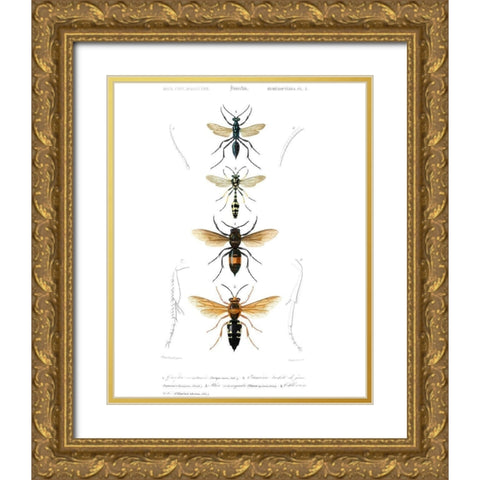 Antique Bees II Gold Ornate Wood Framed Art Print with Double Matting by Blanchard