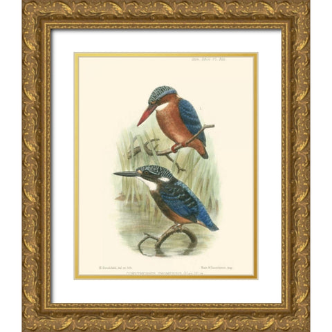 Birds in Nature VI Gold Ornate Wood Framed Art Print with Double Matting by Keulemans, J.C.