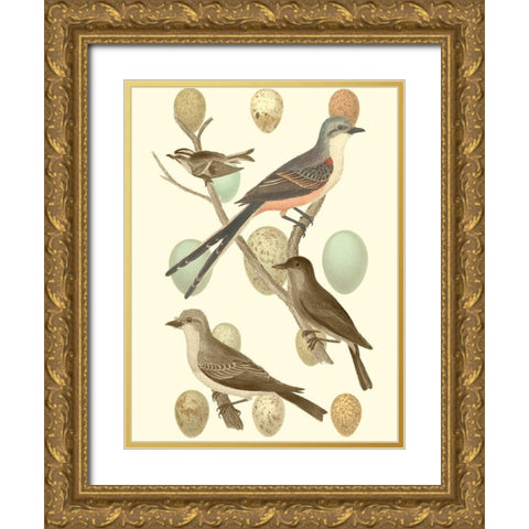 British Birds and Eggs I Gold Ornate Wood Framed Art Print with Double Matting by Vision Studio