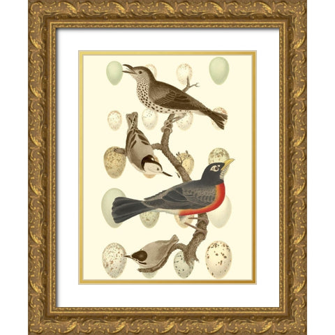British Birds and Eggs III Gold Ornate Wood Framed Art Print with Double Matting by Vision Studio