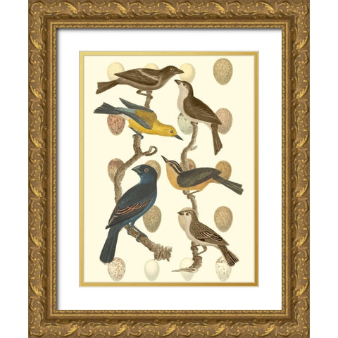 British Birds and Eggs IV Gold Ornate Wood Framed Art Print with Double Matting by Vision Studio