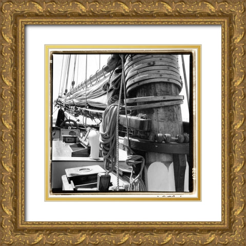 Ship Shape I Gold Ornate Wood Framed Art Print with Double Matting by DeNardo, Laura