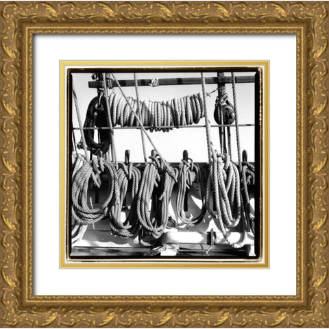 Secure II Gold Ornate Wood Framed Art Print with Double Matting by DeNardo, Laura