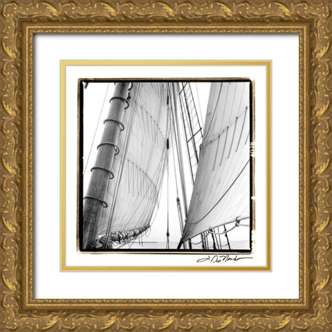 Undersail II Gold Ornate Wood Framed Art Print with Double Matting by DeNardo, Laura