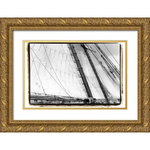 Undersail III Gold Ornate Wood Framed Art Print with Double Matting by DeNardo, Laura