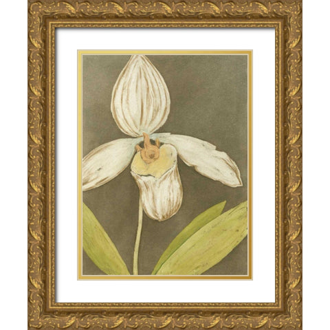 Orchid and Earth III Gold Ornate Wood Framed Art Print with Double Matting by Meagher, Megan