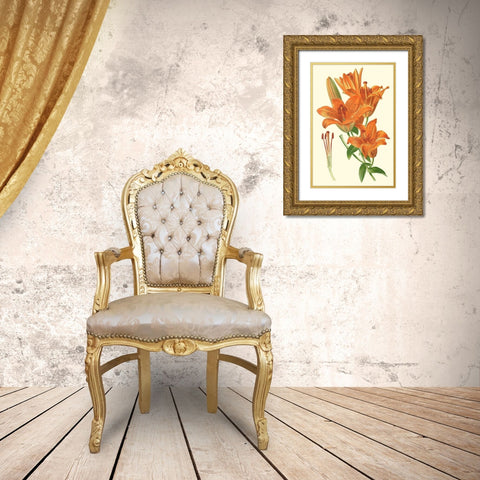 Striking Lilies II Gold Ornate Wood Framed Art Print with Double Matting by Step, Edward
